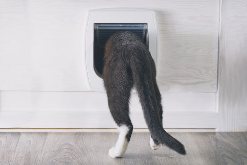 Cat Door Installation detail